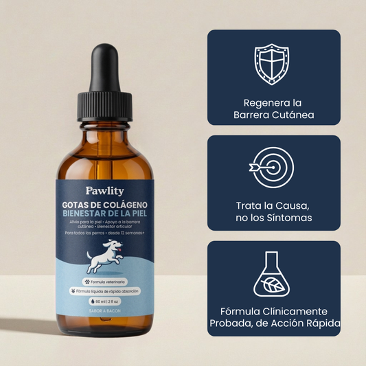 Pawlity® Colágeno Líquido Premium