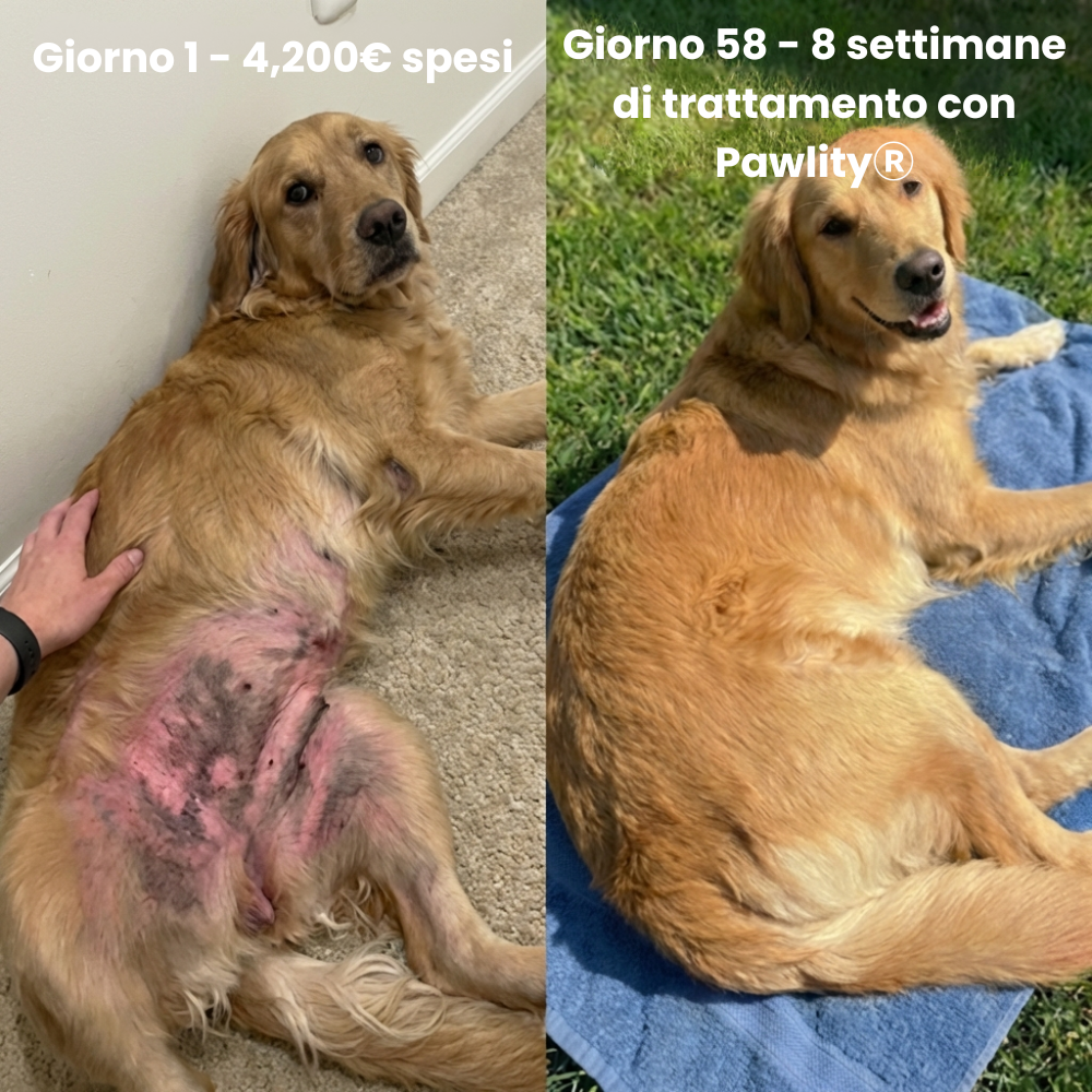Pawlity® Collagene Liquido Premium