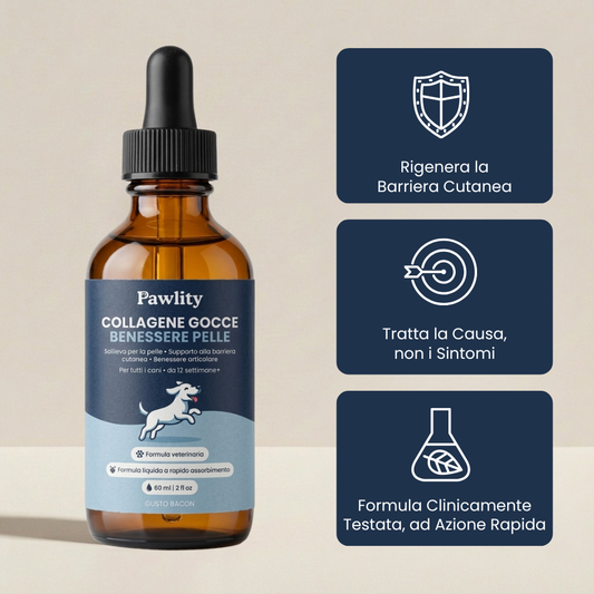 Pawlity® Colágeno Líquido Premium