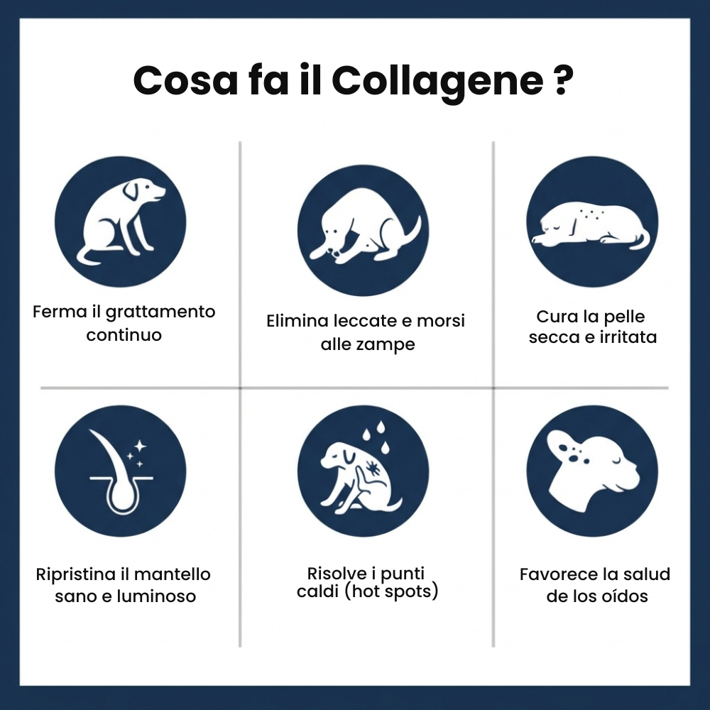 Pawlity® Collagene Liquido Premium