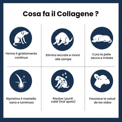 Pawlity® Collagene Liquido Premium