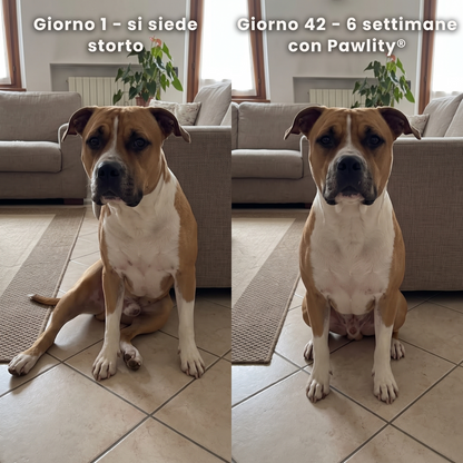 cruciate-drops--gallery-02-before-after-sit