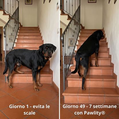 cruciate-drops--gallery-05-before-after-stairs