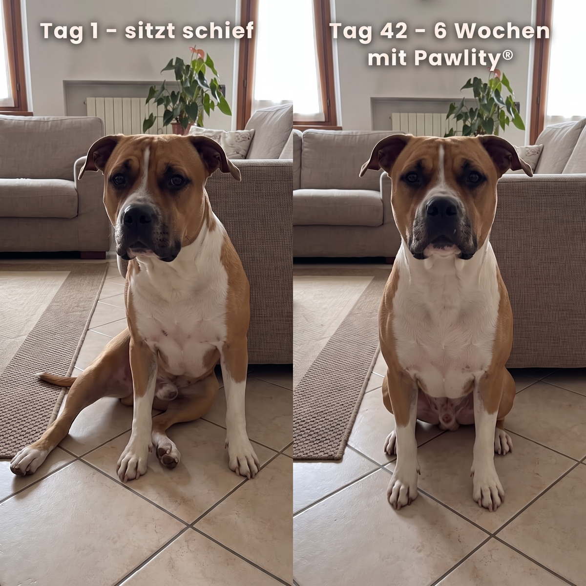 cruciate-drops-de--gallery-02-before-after-sit