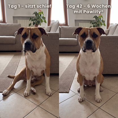 cruciate-drops-de--gallery-02-before-after-sit