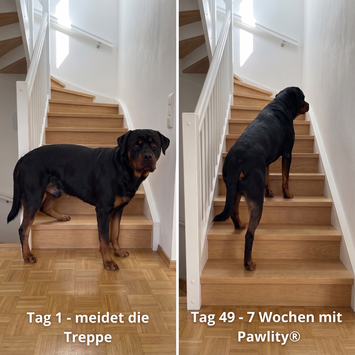 cruciate-drops-de--gallery-05-before-after-stairs
