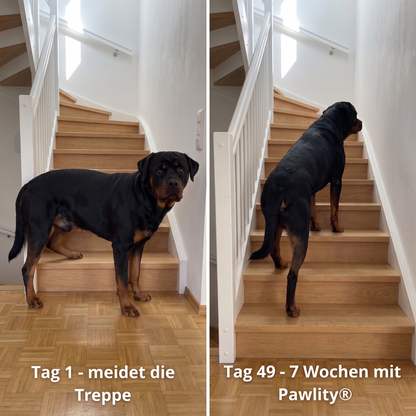 cruciate-drops-de--gallery-05-before-after-stairs