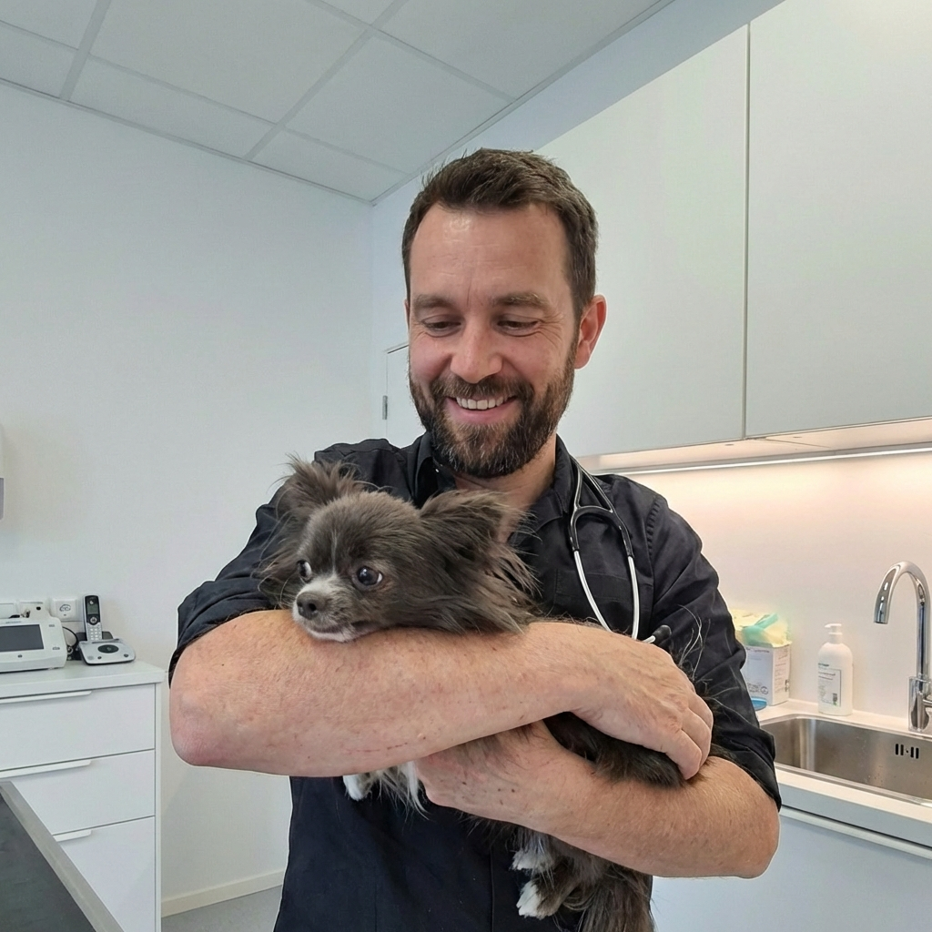 Veterinario con un cane nel suo studio